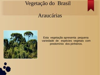 Vegetação do Brasil
Araucárias
Esta vegetação apresenta pequena
variedade de espécies vegetais com
predomínio dos pinheiros.
 