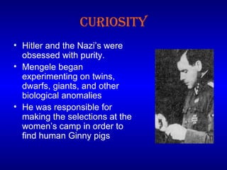 Curiosity Hitler and the Nazi’s were obsessed with purity. Mengele began experimenting on twins, dwarfs, giants, and other biological anomalies He was responsible for making the selections at the women’s camp in order to find human Ginny pigs 