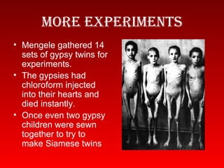 More Experiments Mengele gathered 14 sets of gypsy twins for experiments. The gypsies had chloroform injected into their hearts and died instantly. Once even two gypsy children were sewn together to try to make Siamese twins 