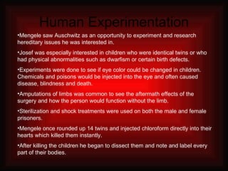 Human Experimentation Mengele saw Auschwitz as an opportunity to experiment and research hereditary issues he was interested in. Josef was especially interested in children who were identical twins or who had physical abnormalities such as dwarfism or certain birth defects. Experiments were done to see if eye color could be changed in children.  Chemicals and poisons would be injected into the eye and often caused disease, blindness and death. Amputations of limbs was common to see the aftermath effects of the surgery and how the person would function without the limb. Sterilization and shock treatments were used on both the male and female prisoners. Mengele once rounded up 14 twins and injected chloroform directly into their hearts which killed them instantly. After killing the children he began to dissect them and note and label every part of their bodies. 