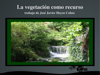 La vegetación como recurso trabajo de José Javier Hoyos Cobos  