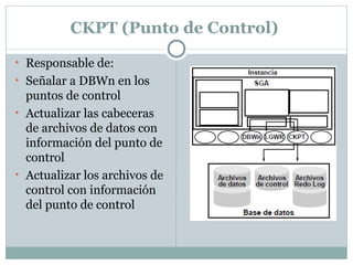CKPT (Punto de Control)  Responsable de:  Señalar a DBWn en los puntos de control  Actualizar las cabeceras de archivos de datos con información del punto de control  Actualizar los archivos de control con información del punto de control  
