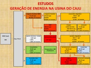 ESTUDOS
            GERAÇÃO DE ENERGIA NA USINA DO CAJU
                          organic fraction/ RDF    organic fraction             anaerobic digestion
                              714,78 tpd          214,43 tpd                             49,32 tpd
                             89,35% of income     30,00%                                23,00%
                                                  26,80% of income                       6,16% of income



                                                           RDF                biogas                    compost
                                                  500,35 tpd                4.932 Nm³/dia         17,26 tpd
                                                  70,00%                      100 Nm³/t org      35,00%
                                                  62,54% of income           55% methane          2,16% of income



MSW (tpd)                 great volumes / metal                                     aerobic digestion
                                                  Incineration plant
                                8,00 tpd                                                165,11 tpd
             Caju Plant
   800                        1,00%                  517 tpd                            77,00%
                              1,00% of income                                           20,64% of income



                               recyclables                             not screened compost          mass loss
                               39,60 tpd          Cooperative: 480          82,56 tpd             82,56 tpd
                              5,00%                 employees              50,00%                50,00%
                              4,95% of income                              10,32% of income      10,32% of income



                             humidity loss                                    reject             screened compost
                               37,62 tpd                                    16,51 tpd             66,05 tpd
                              5,00%                                        20,00%                80,00%
                              4,70% of income                               2,06% of income       8,26% of income
 