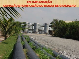 EM IMPLANTAÇÃO
CAPTAÇÃO E PURIFICAÇÃO DO BIOGÁS DE GRAMACHO
 