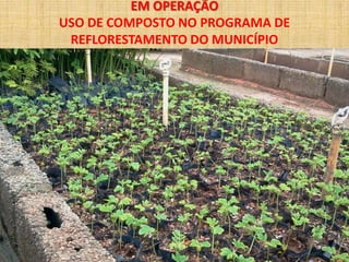 EM OPERAÇÃO
USO DE COMPOSTO NO PROGRAMA DE
 REFLORESTAMENTO DO MUNICÍPIO
 