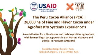 The Peru Cocoa Alliance (PCA) :
28,000 ha of Fine and Flavor Cocoa under
Agroforestry Systems Experience’s
A contribution ...
