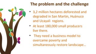 The problem and the challenge
• 3,2 million hectares deforested and
degraded in San Martin, Huánuco
and Ucayali regions.
•...