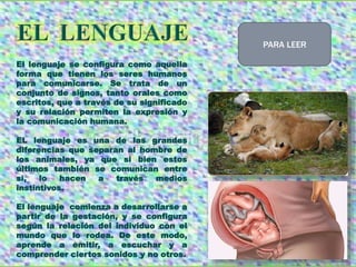 El lenguaje se configura como aquella
forma que tienen los seres humanos
para comunicarse. Se trata de un
conjunto de signos, tanto orales como
escritos, que a través de su significado
y su relación permiten la expresión y
la comunicación humana.
EL lenguaje es una de las grandes
diferencias que separan al hombre de
los animales, ya que si bien estos
últimos también se comunican entre
sí, lo hacen a través medios
instintivos.
El lenguaje comienza a desarrollarse a
partir de la gestación, y se configura
según la relación del individuo con el
mundo que lo rodea. De este modo,
aprende a emitir, a escuchar y a
comprender ciertos sonidos y no otros.
PARA LEER
 