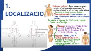 1.
LOCALIZACION
 