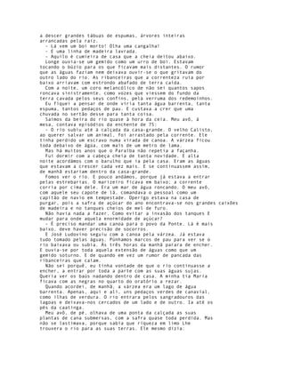 a descer grandes tábuas de espumas, árvores inteiras
arrancadas pela raiz.
  - Lá vem um boi morto! Olha uma cangalha!
  - E uma linha de madeira lavrada.
  - Aquilo é cumieira de casa que a cheia deitou abaixo.
  Longe ouvia-se um gemido como um urro de boi. Estavam
tocando o búzio para os que ficavam mais distantes. O rumor
que as águas faziam nem deixava ouvir-se o que gritavam do
outro lado do rio. As ribanceiras que a correnteza ruía por
baixo arriavam com estrondo abafado de terra caída.
  Com a noite, um coro melancólico de não sei quantos sapos
roncava sinistramente, como vozes que viessem do fundo da
terra cavada pelos seus confins, pela verruma dos redemoinhos.
  Eu fiquei a pensar de onde viria tanta água barrenta, tanta
espuma, tantos pedaços de pau. E custava a crer que uma
chuvada no sertão desse para tanta coisa.
  Saímos da beira do rio quase à hora da ceia. Meu avô, à
mesa, contava episódios da enchente de 75:
  - O rio subiu até à calçada da casa-grande. O velho Calisto,
ao querer salvar um animal, foi arrastado pela corrente. Ele
tinha perdido um escravo numa virada de canoa. A várzea ficou
toda debaixo de ágúa, com mais de um metro de lama.
  Mas há muitos anos que o Paraíba não repetia a façanha.
  Fui dormir com a cabeça cheia de tanta novidade. E alta
noite acordámos com o barulho que ia pela casa. Eram as águas
que estavam a crescer cada vez mais. E se continuassem assim,
de manhã estariam dentro da casa-grande.
  Fomos ver o rio. E pouco andámos, porque já estava a entrar
pelas estrebarias. O marizeiro ficava em baixo; a corrente
corria por cima dele. Era um mar de água roncando. O meu avô,
com aquele seu capote de lã, comandava o pessoal como um
capitão de navio em tempestade. Operigo estava na casa de
purgar, pois a safra de açúcar do ano encontrava-se nos grandes caixões
de madeira e no tanques cheios de mel de furo.
  Não havia nada a fazer. Como evitar a invasão dos tanques E
mudar para onde aquela enormidade de açúcar?
  - É preciso mandar uma canoa para o povo da Ponte. Lá é mais
baixo, deve haver precisão de socorros.
  E José Ludovino seguiu com a canoa pela várzea. Já estava
tudo tomado pelas águas. Púnhamos marcos de pau para ver se o
rio baixava ou subia. Às três horas da manhã parara de encher.
E ouvia-se por toda aquela extensão de águas como que um
gemido soturno. E de quando em vez um rumor de pancada das
ribanceiras que caíam.
  Não sei porquê, eu tinha vontade de que o rio continuasse a
encher, a entrar por toda a parte com as suas águas sujas.
Queria ver os baús nadando dentro de casa. A minha tia Maria
ficava com as negras no quarto do oratório a rezar.
  Quando acordei, de manhã, a várzea era um lago de água
barrenta. Apenas, aqui e ali, uns pedaços verdes de canavial,
como ilhas de verdura. O rio entrara pelos sangradouros das
lagoas e deixava-nos cercados de um lado e de outro. Ia até os
pés da caatinga.
  Meu avô, de pé, olhava de uma ponta da calçada as suas
plantas de cana submersas, com a safra quase toda perdida. Mas
não se lastimava, porque sabia que riqueza em limo Lhe
trouxera o rio para as suas terras. Ele mesmo dizia:
 