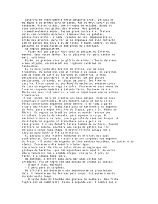 Absorvia-me inteiramente nesse desporto cruel. Deixava os
moleques e os primos para um canto. Mas os meus canários não
cantavam. Via-os soltos, com trinados de estalos, dando os
seus concertos nos galhos das árvores. Nas gaiolas,
irremediavelmente mudos. Faziam greve contra mim. Tratava
deles com cuidados maternos. Limpava-lhes as gaiolas,
pisava-lhes milho - e nada, calados de vez. Dependurava-os
então nas árvores, para ver se os enganava com esse contacto
com os palcos dos seus dias de festa. E mudos sempre. Os meus
pássaros só trabalhavam ao bom preço da liberdade.
  As negras ameaçaram-me:
  - Fazer mal aos passarinhos bota as pessoas no Inferno,
menino. Deus nosso Senhor fez os pássaros foi para cantar no
mato, soltinhos.
  Porém, os grandes dias de glória da minha infância dera-mos
o meu alçapão, escancarado aos ingénuos canários do
Santa-Rosa.
  Eu ia para junto dos mestres do ofício, ver os seus
trabalhos. Os tanoeiros com as formas e as cubas, os carpinas
com as rodas de carro ou lavrando as cumieiras. A enxó
descascava os paus-darco, e as plainas iam aos poucos
desbastando, alisando, as tábuas de cedro. Seu Firmino
carpina, Pinto tanoeiro, seu Rodolfo mecânico, tomavam conta
da casa do engenho na vaga da safra. Passavam os seus meses de
Inverno raspando madeira e batendo ferro. Gostavam de mim.
Mexia nos seus instrumentos, e nem se importavam com as minhas
travessuras.
 O que, porém, mais me prendia aos meus amigos, eram as suas
conversas e confissões. O seu Rodolfo sabia de muita coisa.
Vivia consertando engenhos desde menino. E de toda a parte
trazia uma história. Trabalhara para um marinheiro no engenho
do Meio, para o major Ursulino do Itapuá, para o Dr. Pedro do
Miriri. Os negros de Ursulino todas as manhãs levavam uma
chibatada, à porta da senzala, para aquecer o corpo, O
marinheiro dormia na rede, com a garrafa de cana nos braços. A
destilação do engenho só trabalhava para a gente da
casa-grande. E o seu Rodolfo falava também de mulheres. Quando
estivera no Jaburu, apanhara uma carga de gálico que lhe
deixara o corpo numa chaga. O mestre Firmino parava com o
serviço para ouvir o fim da história.
  Eu passava o dia inteiro rondando os oficiais nas suas
confidências. Contavam a história de uns carpinas num engenho
do Brejo. - O senhor de engenho só lhes mandava bacalhau, ao jantar e ao
almoço. Passavam o dia inteiro a beber água,
com a boca seca. Um dia un deles disse ao negro que não
gostava de bacalhau, que não aguentava mais aquilo. No outro
dia o tabuleiro com a comida chegou: era peru. É peru de
tarde. E a semana toda, peru.
  Um Domingo, o mestre saiu para dar umas voltas nos
arredores. Viu um negro com uma porção de urubus às costas:
  - O que é isso, moleque?
  - É peru para os carpinas.
  Os oficiais anoiteceram e não amanheceram na propriedade
dele. E rebentaram-lhe feridas pelo corpo. Estiveram à morte
durante muito tempo.
  - O velho Duda do Riachão não gostava de mulheres. Uma filha
fugira con um cambiteiro. Casou a segunda vez. E sempre que a
 