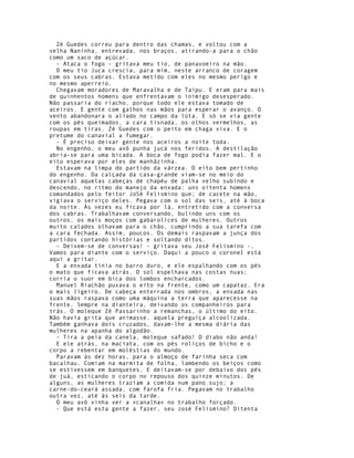 Zé Guedes correu para dentro das chamas, e voltou com a
velha Naninha, entrevada, nos braços, atirando-a para o chão
como um saco de açúcar.
  - Ataca o fogo - gritava meu tio, de panavoeiro na mão.
  O meu tio Juca crescia, para mim, neste arranco de coragem
com os seus cabras. Estava metido com eles no mesmo perigo e
no mesmo aperreio.
  Chegavam moradores de Maravalha e de Taipu. E eram para mais
de quinhentos homens que enfrentavam o inimigo desesperado.
Não passaria do riacho, porque todo ele estava tomado de
aceiros. E gente com galhos nas mãos para esperar o avanço. O
vento abandonara o aliado no campo da lúta. E só se via gente
com os pés queimados, a cara tisnada, os olhos vermelhos, as
roupas em tiras. Zé Guedes com o peito em chaga viva. E o
pretume do canavial a fumegar.
  - É preciso deixar gente nos aceiros a noite toda.
  No engenho, o meu avô punha jucá nos feridos. A destilação
abria-se para uma bicada. A boca de fogo podia fazer mal. E o
eito esperava por eles de manhãzinha.
  Estavam na limpa do partido da várzea. O eito bem pertinho
do engenho. Da calçada da casa-grande viam-se no meio do
canavial aquelas cabeças de chapéu de palha velho subindo e
descendo, no ritmo do manejo da enxada: uns oitenta homens
comandados pelo feitor JoSé Felismino que; de cacete na mão,
vigiava o serviço deles. Pegava com o sol das seis, até à boca
da noite. Às vezes eu ficava por lá, entretido com a conversa
dos cabras. Trabalhavam conversando, bulindo uns com os
outros, os mais moços com gabarolices de mulheres. Outros
muito calados olhavam para o chão, cumprindo a sua tarefa com
a cara fechada. Assim, poucos. Os demais raspavam a junça dos
partidos contando histórias e soltando ditos.
  - Deixem-se de conversas! - gritava seu José Felismino -,
Vamos para diante com o serviço. Daqui a pouco o coronel está
aqui a gritar.
  E a enxada tinia no barro duro, e ele espalhando com os pés
o mato que ficava atrás. O sol espelhava nas costas nuas;
corria o suor em bica dos lombos encharcados.
  Manuel Riachão puxava o eito na frente, como um capataz. Era
o mais ligeiro. De cabeça enterrada nos ombros, a enxada nas
suas mãos raspava como uma máquina a terra que aparecesse na
frente. Sempre na dianteira, deixando os companheiros para
trás. O moleque Zé Passarinho a remanchas, o último do eito.
Não havia grita que animasse. aquela preguiça alcoolizada.
Também ganhava dois cruzados, davam-lhe a mesma diária das
mulheres na apanha do algodão.
  - Tira a peia da canela, moleque safado! O diabo não anda!
  E ele atrás, na maciata, com os pés roliços de bicho e o
corpo a rebentar em moléstias do mundo.
  Paravam às dez horas, para o almoço de farinha seca com
bacalhau. Comiam na marmita de folha, lambendo os beiços como
se estivessem em banquetes. E deitavam-se por debaixo dos pés
de juá, esticando o corpo no repouso dos quinze minutos. De
alguns, as mulheres traziam a comida num pano sujo; a
carne-do-ceará assada, com farofa fria. Pegavam no trabalho
outra vez, até às seis da tarde.
  O meu avô vinha ver a «canalha» no trabalho forçado.
  - Que está esta gente a fazer, seu José Felismino? Oitenta
 