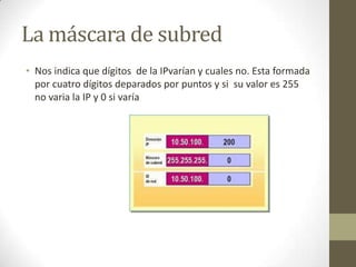 La máscara de subred
• Nos indica que dígitos de la IPvarían y cuales no. Esta formada
por cuatro dígitos deparados por puntos y si su valor es 255
no varia la IP y 0 si varía

 