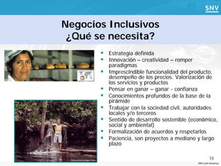 Negocios Inclusivos
 ¿Qué se necesita?
        Estrategia definida
        Innovación – creatividad – romper
           paradigmas
          Imprescindible funcionalidad del producto,
           desempeño de los precios. Valorización de
           los servicios y productos
          Pensar en ganar – ganar - confianza
          Conocimientos profundos de la base de la
           pirámide
          Trabajar con la sociedad civil, autoridades
           locales y/o terceros
          Sentido de desarrollo sostenible (económico,
           social y ambiental)
          Formalización de acuerdos y respetarlos
          Paciencia, son proyectos a mediano y largo
           plazo

                                                       18
                                               SNV Latin America
 