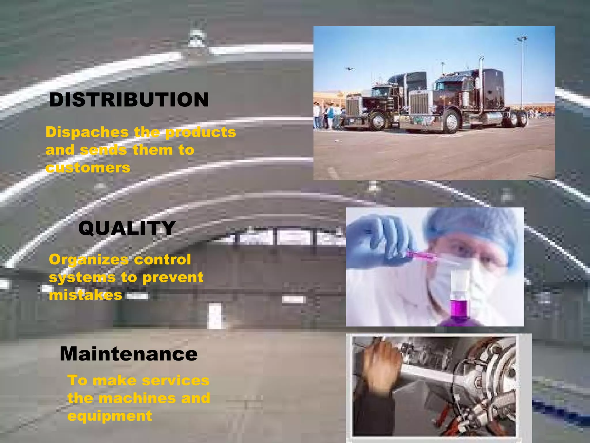 DISTRIBUTION Dispaches the products and sends them to customers QUALITY Organizes control systems to prevent mistakes Maintenance To make services the machines and equipment 