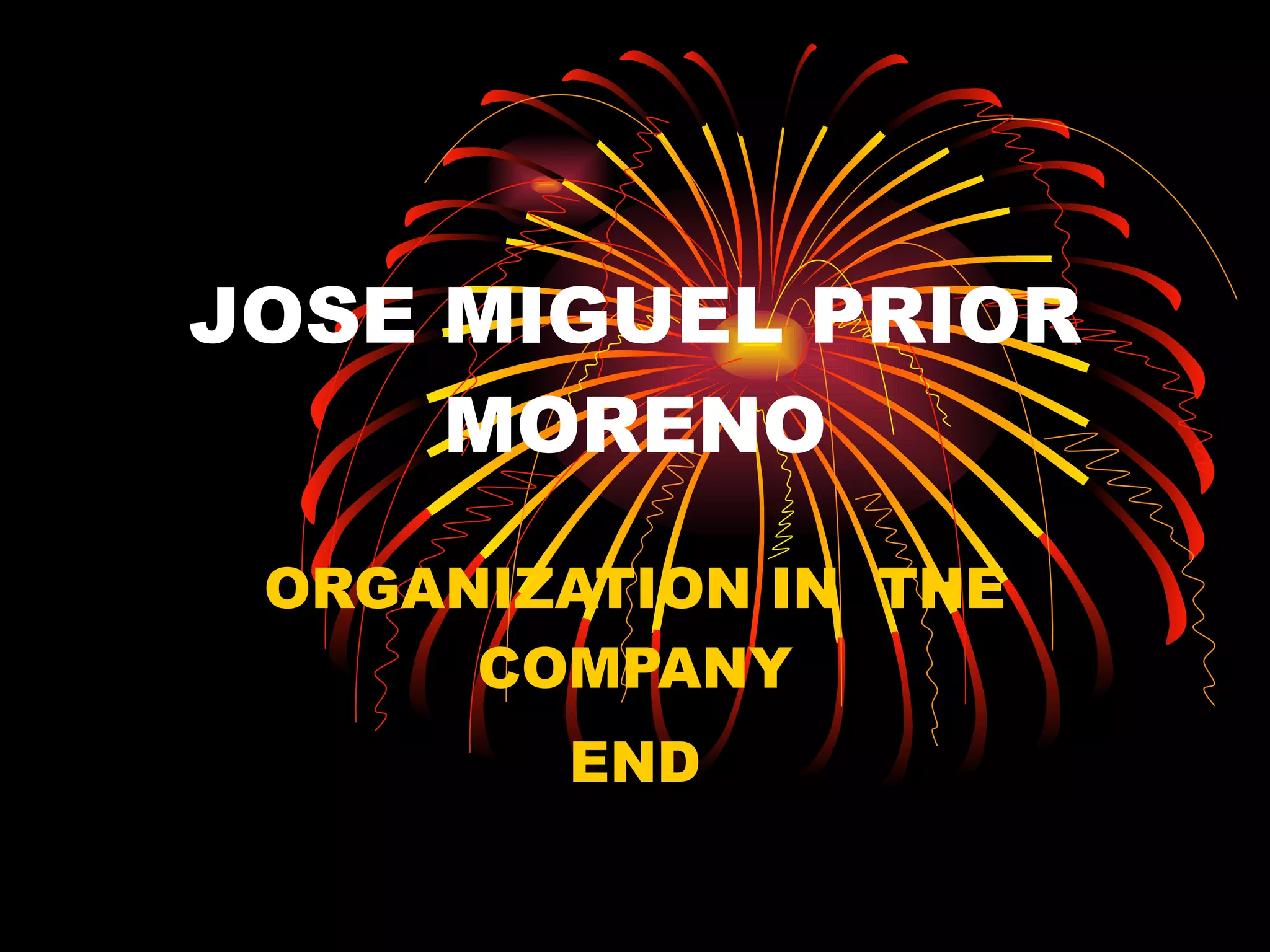 JOSE MIGUEL PRIOR MORENO ORGANIZATION IN  THE COMPANY END 