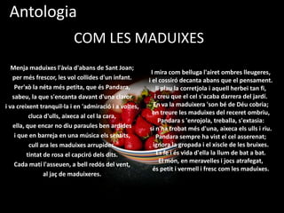 CANÇONETA INCERTAAquestcamí tan fi, tan fi,quisapon mena?És a la vila o és al pide la carena?Un lliriblau color de cel,diu: -Vine, vine-.Però: -No passis!- diu un velde teranyina.¿Seràdrecera del gosat,rossola ingrata,o bé un camíd'enamorat,colgat de mata?¿És un recer per a adormirquipassi pena?Aquestcamí tan fi, tan fi,quisapon mena?¿Quisap si trist o somrientacull son hoste?¿Quisap si mor sobtadament,sota la brosta?¿Quisabràmaiaquestmatía quèem convida?I éscamíincert cada camí,n'és cada vida.