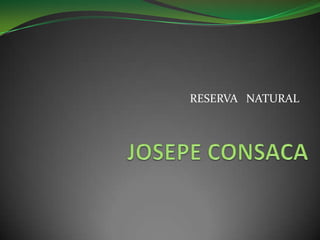RESERVA   NATURAL  JOSEPE CONSACA 