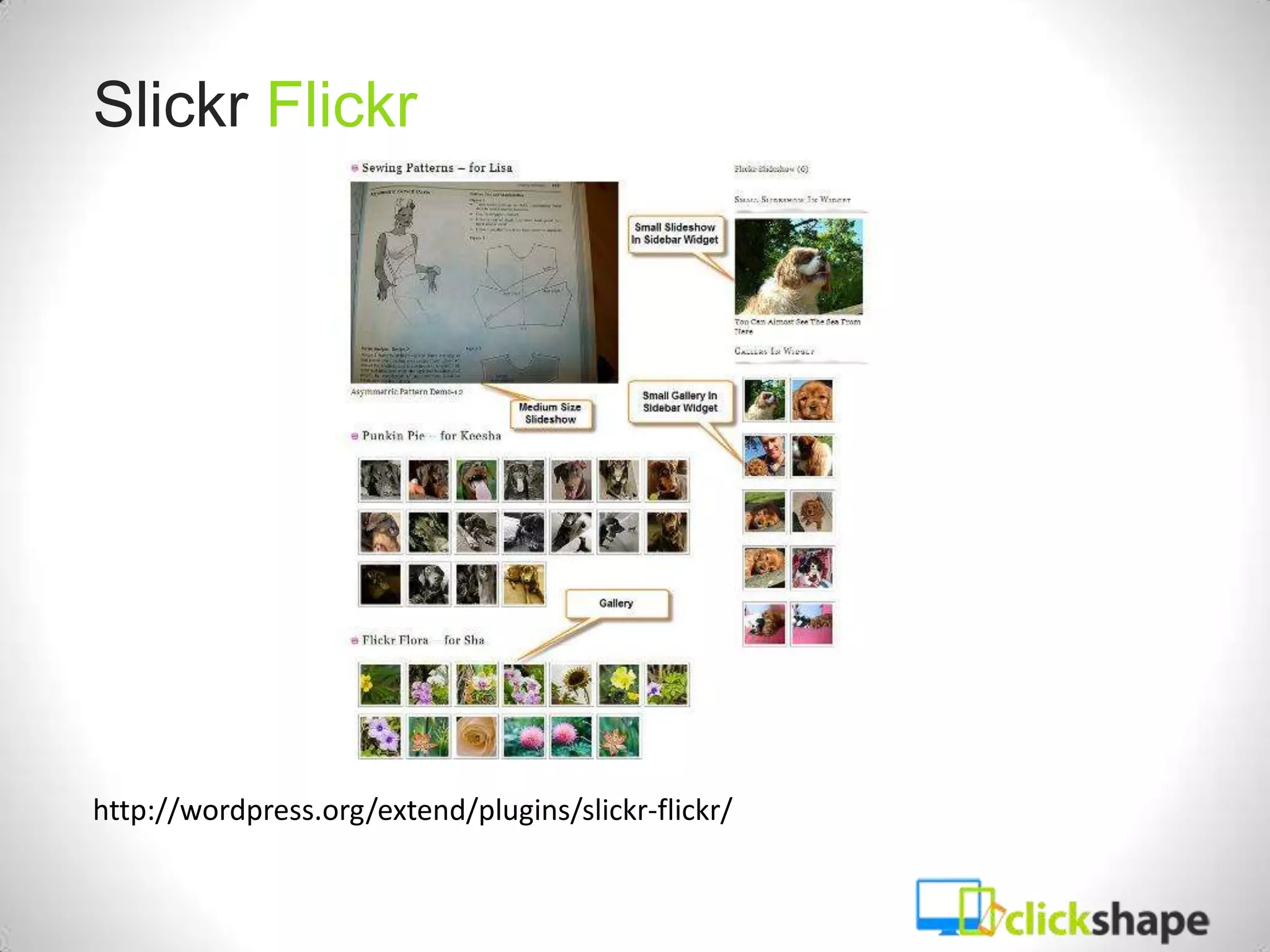 Slickr Flickr




http://wordpress.org/extend/plugins/slickr-flickr/
 