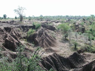 Joseph Tanui: Grassroots participation in land regeneration through the Landcare approach #BeatingFamine