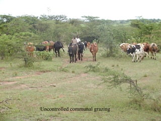 Joseph Tanui: Grassroots participation in land regeneration through the Landcare approach #BeatingFamine