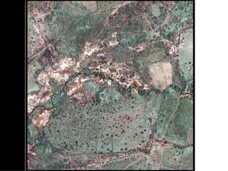 Joseph Tanui: Grassroots participation in land regeneration through the Landcare approach #BeatingFamine