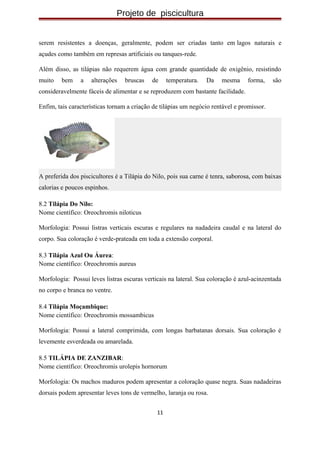Projeto de piscicultura
serem resistentes a doenças, geralmente, podem ser criadas tanto em lagos naturais e
açudes como também em represas artificiais ou tanques-rede.
Além disso, as tilápias não requerem água com grande quantidade de oxigênio, resistindo
muito bem a alterações bruscas de temperatura. Da mesma forma, são
consideravelmente fáceis de alimentar e se reproduzem com bastante facilidade.
Enfim, tais características tornam a criação de tilápias um negócio rentável e promissor.
A preferida dos piscicultores é a Tilápia do Nilo, pois sua carne é tenra, saborosa, com baixas
calorias e poucos espinhos.
8.2 Tilápia Do Nilo:
Nome científico: Oreochromis niloticus
Morfologia: Possui listras verticais escuras e regulares na nadadeira caudal e na lateral do
corpo. Sua coloração é verde-prateada em toda a extensão corporal.
8.3 Tilápia Azul Ou Áurea:
Nome científico: Oreochromis aureus
Morfologia: Possui leves listras escuras verticais na lateral. Sua coloração é azul-acinzentada
no corpo e branca no ventre.
8.4 Tilápia Moçambique:
Nome científico: Oreochromis mossambicus
Morfologia: Possui a lateral comprimida, com longas barbatanas dorsais. Sua coloração é
levemente esverdeada ou amarelada.
8.5 TILÁPIA DE ZANZIBAR:
Nome científico: Oreochromis urolepis hornorum
Morfologia: Os machos maduros podem apresentar a coloração quase negra. Suas nadadeiras
dorsais podem apresentar leves tons de vermelho, laranja ou rosa.
11
 