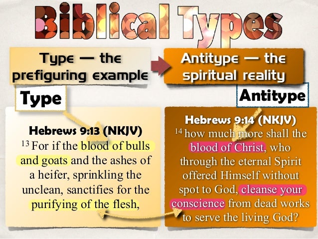 type and antetype type and antetype
