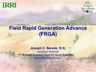 Field Rapid Generation Advance
(FRGA)
Joseph C. Beredo, R.N.
Assistant Scientist
Irrigated Breeding Team for South East Asia
Plant Breeding Division
 