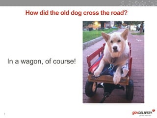 How did the old dog cross the road?




    In a wagon, of course!




1
 