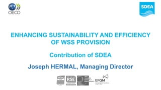 ENHANCING SUSTAINABILITY AND EFFICIENCY
OF WSS PROVISION
Contribution of SDEA
Joseph HERMAL, Managing Director
 