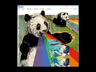 Professional Web Development