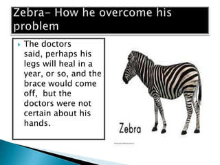    The doctors
    said, perhaps his
    legs will heal in a
    year, or so, and the
    brace would come
    off, but the
    doctors were not
    certain about his
    hands.
 