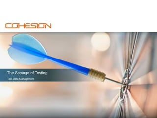 The Scourge of Testing
Test Data Management

www.cohesion.com | 877.774.3001

 