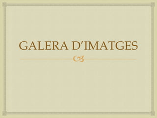 GALERA D’IMATGES
       
 