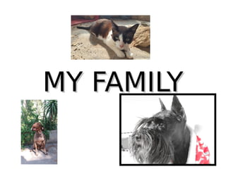 MY FAMILYMY FAMILY
 