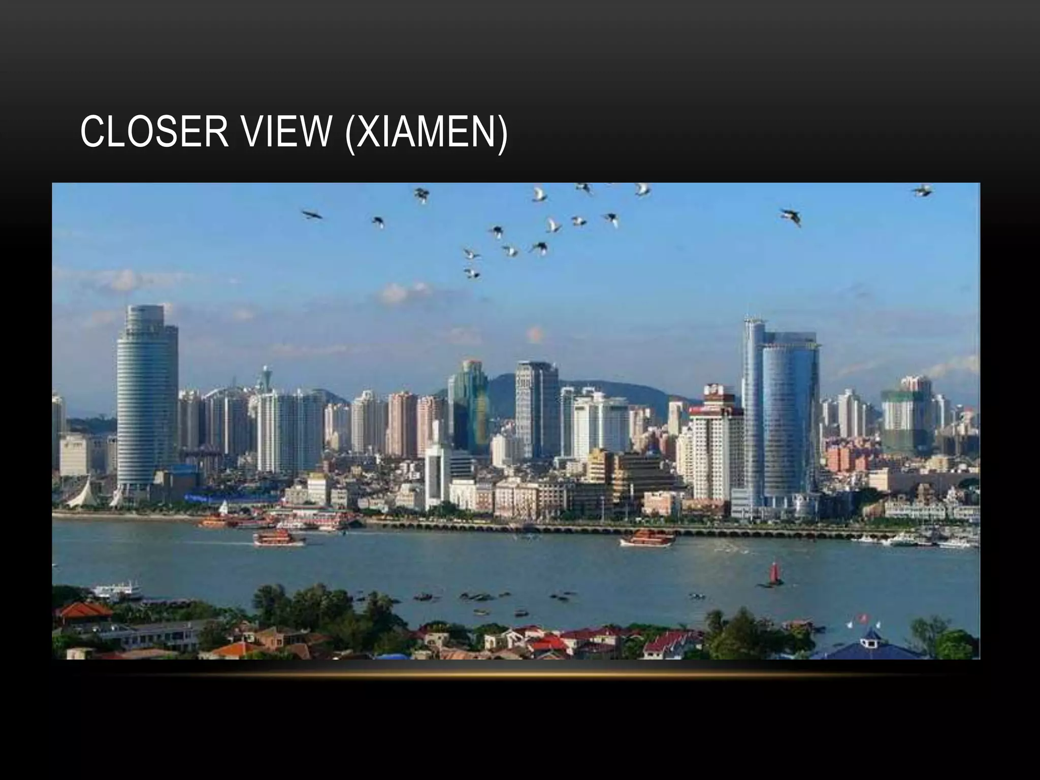 CLOSER VIEW (XIAMEN)
 