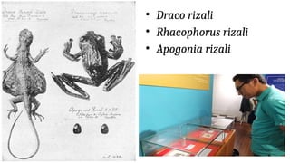 CHAPTER 5: Jose Rizal's Life- Exile, Trial and Execution | PPTX