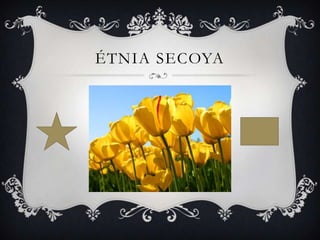 ÉTNIA SECOYA
 