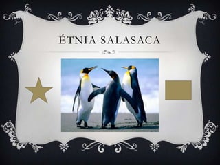 ÉTNIA SALASACA
 