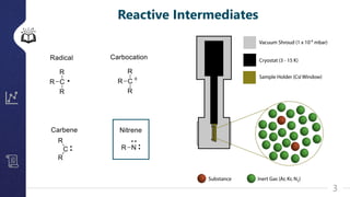 Switching on Hydrogen Tunneling through Conformational Control in ...