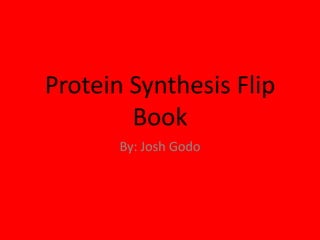 Protein Synthesis Flip
Book
By: Josh Godo

 