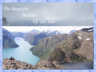 The Beautiful
Pictures
Of The Year
 