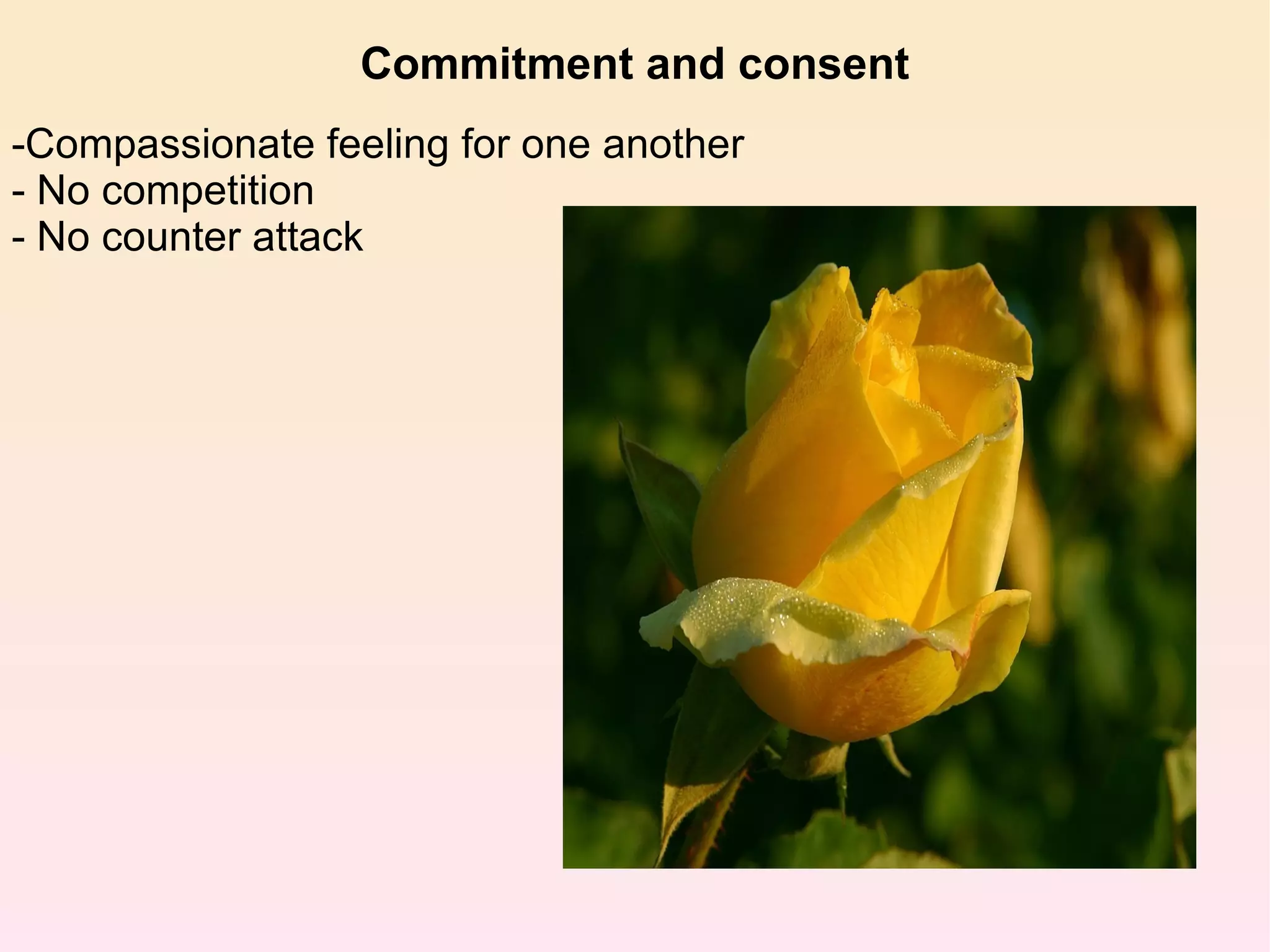 Commitment and consent -Compassionate feeling for one another - No competition - No counter attack 