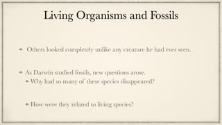 Living Organisms and Fossils


Others looked completely unlike any creature he had ever seen.


As Darwin studied fossils, new questions arose.


Why had so many of these species disappeared?


How were they related to living species?
 