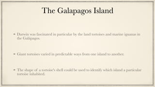 The Galapagos Island
Darwin was fascinated in particular by the land tortoises and marine iguanas in
the Galápagos.


Giant tortoises varied in predictable ways from one island to another.


The shape of a tortoise's shell could be used to identify which island a particular
tortoise inhabited.
 