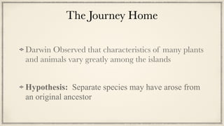 The Journey Home
Darwin Observed that characteristics of many plants
and animals vary greatly among the islands


Hypothesis: Separate species may have arose from
an original ancestor
 