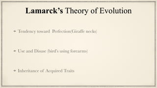 Lamarck’s Theory of Evolution
Tendency toward Perfection(Giraffe necks)


Use and Disuse (bird’s using forearms)


Inheritance of Acquired Traits
 