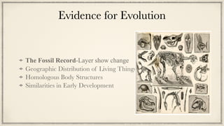 Evidence for Evolution
The Fossil Record-Layer show change


Geographic Distribution of Living Things


Homologous Body Structures


Similarities in Early Development
 