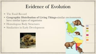 Evidence of Evolution
The Fossil Record


Geographic Distribution of Living Things-similar environments
have similar types of organisms


Homologous Body Structures


Similarities in Early Development
 